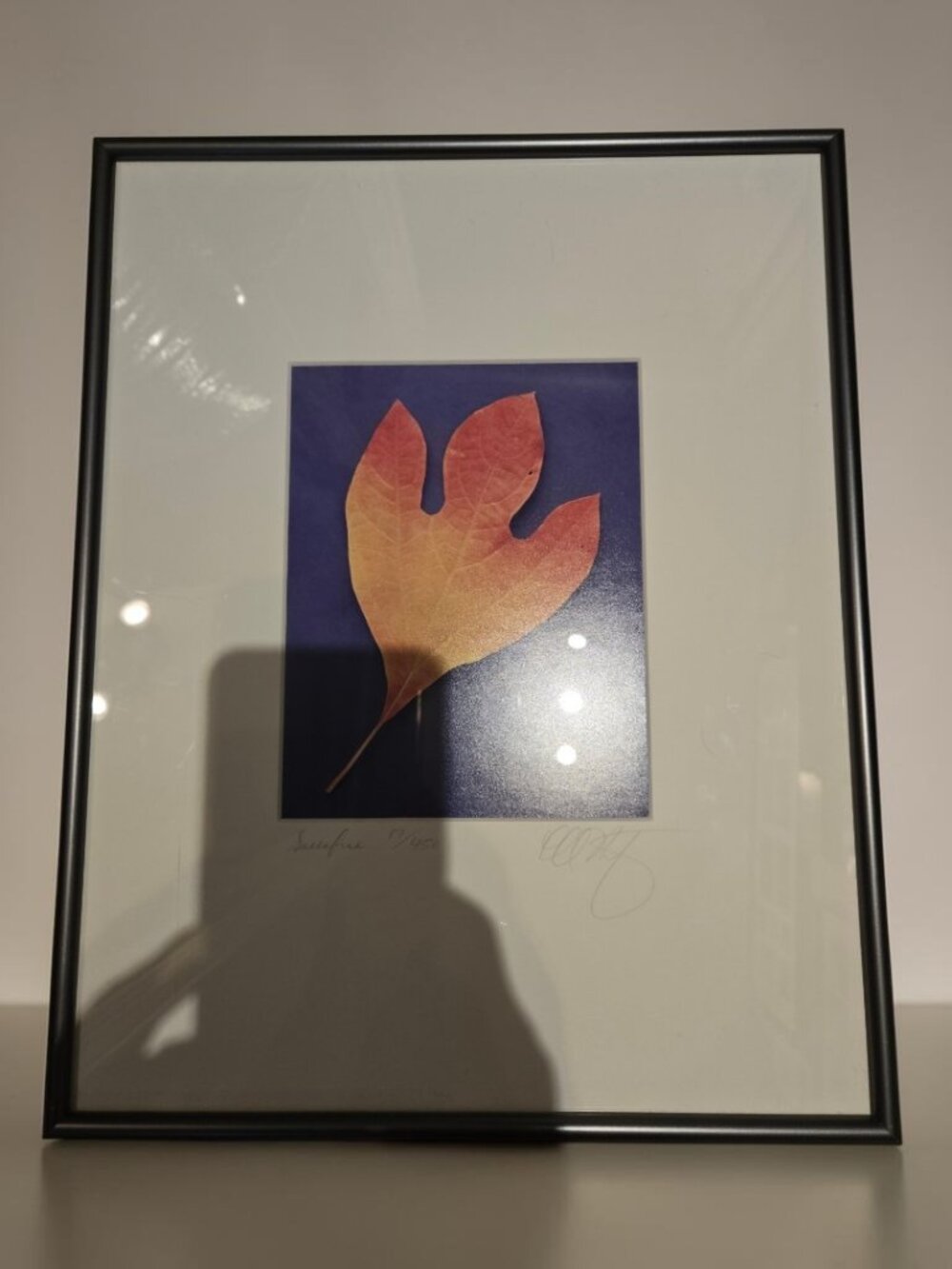 Lee Rentz “Sassafras” Signed Limited Edition Print 17/450 – Framed 11x14